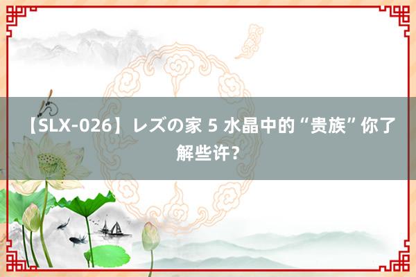 【SLX-026】レズの家 5 水晶中的“贵族”你了解些许？