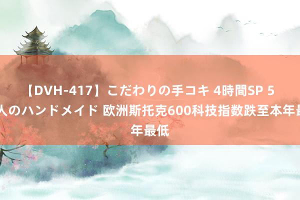 【DVH-417】こだわりの手コキ 4時間SP 5 30人のハンドメイド 欧洲斯托克600科技指数跌至本年最低