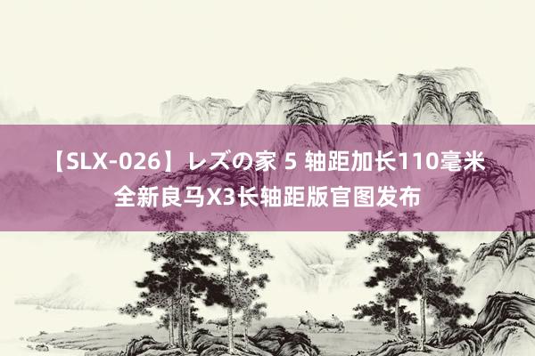 【SLX-026】レズの家 5 轴距加长110毫米 全新良马X3长轴距版官图发布