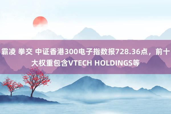 霸凌 拳交 中证香港300电子指数报728.36点，前十大权重包含VTECH HOLDINGS等