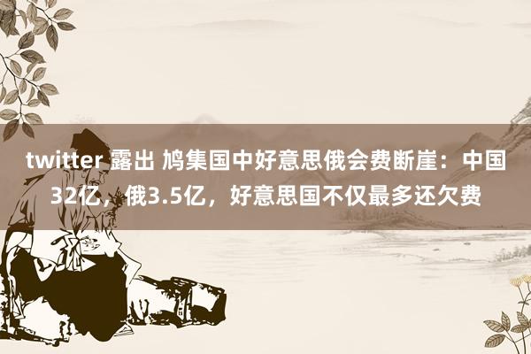 twitter 露出 鸠集国中好意思俄会费断崖：中国32亿，俄3.5亿，好意思国不仅最多还欠费